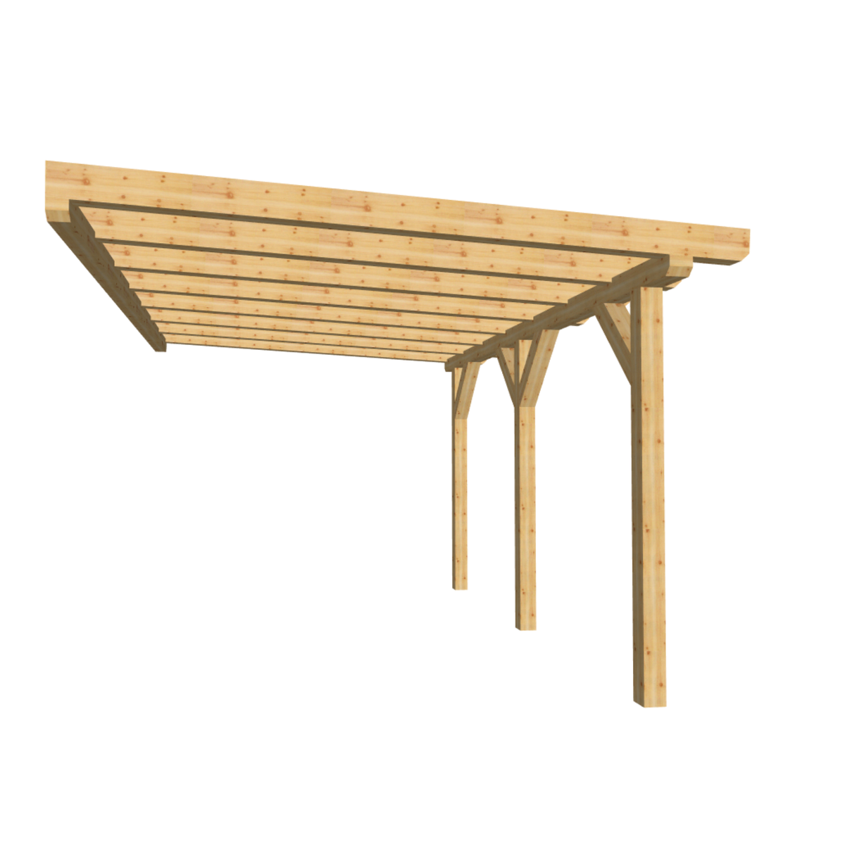 Bauplan Anlehn-Carport 10 3D-Frontansicht