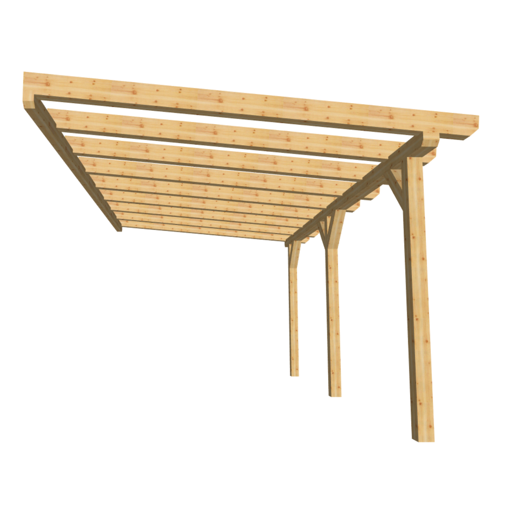 Bauplan Anlehn-Carport 1 3D-Frontansicht