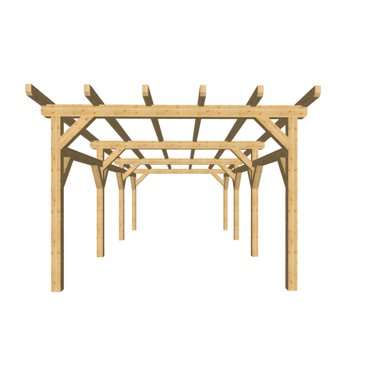 Bauplan Carport Flachdach 17 3D-Frontansicht