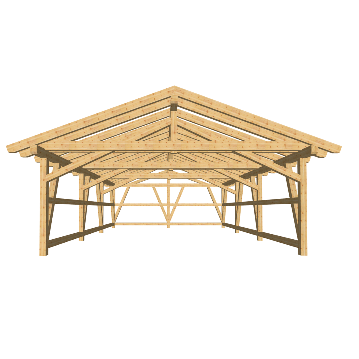 Bauplan Doppelcarport Satteldach 20 3D-Frontansicht 