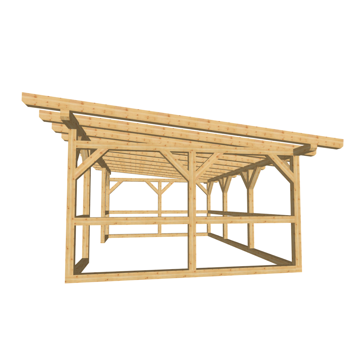 Bauplan Pavillon-Schleppdach 2 3D-Frontansicht